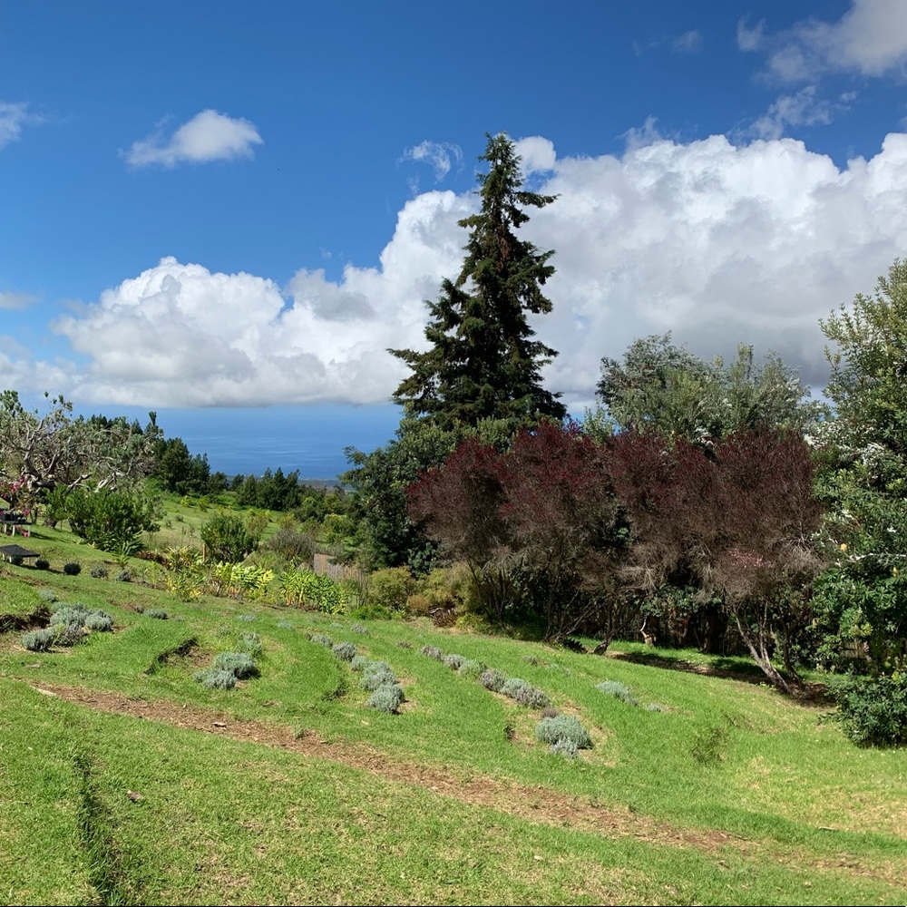 Meet your Posher, Jac